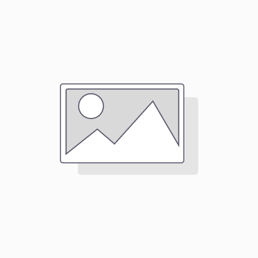 Scan tool fee